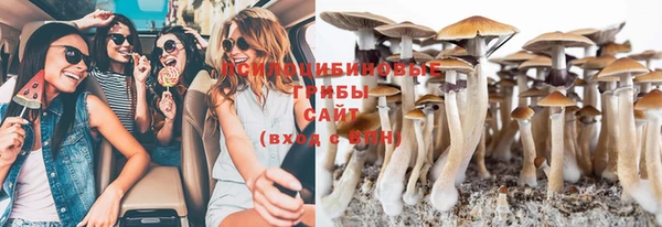 Альфа ПВП Баксан
