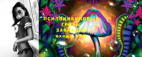 Альфа ПВП Баксан