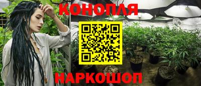 марихуана Камышлов