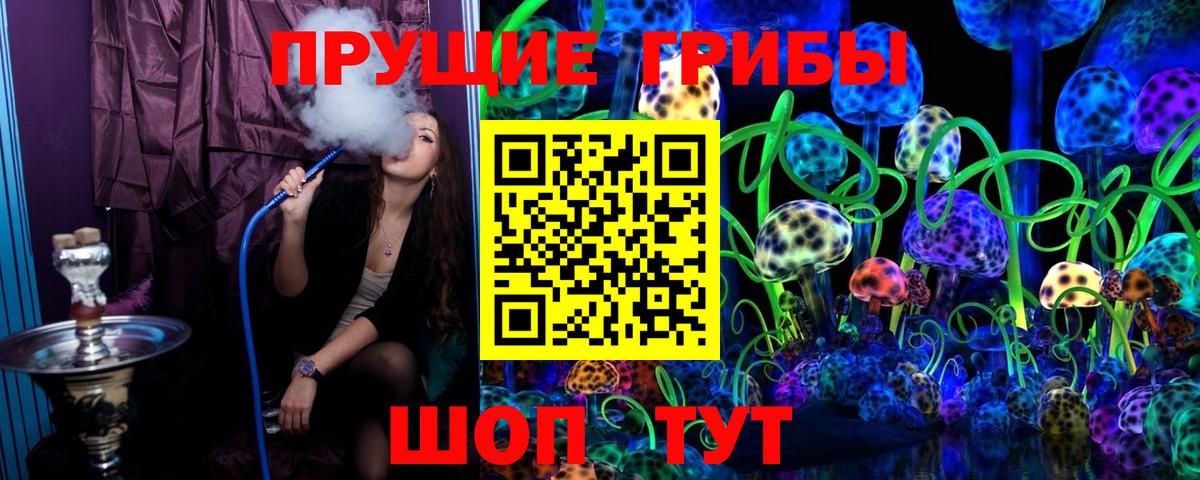 Псилоцибиновые грибы GOLDEN TEACHER Вольск