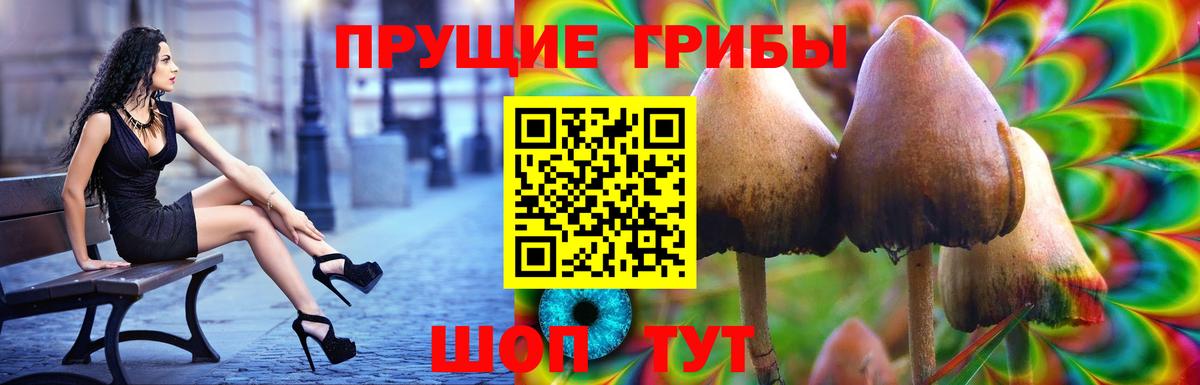 Вольск  Галлюциногенные грибы MAGIC MUSHROOMS  Псилоцибиновые грибы Cubensis  Вход с VPN 